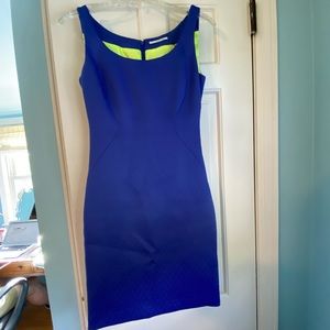 Tahari fitted sheath